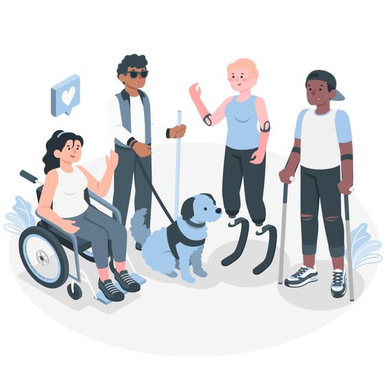 Layanan Informasi Disabilitas